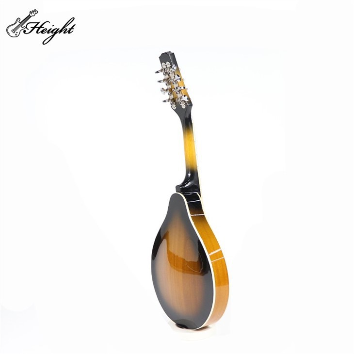 Mandoline 6 String Musical Instrument Guitar Mandolin